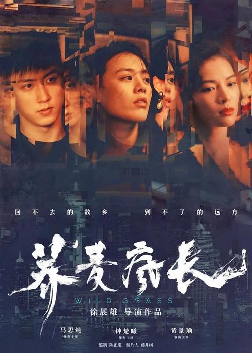本科学历证书假的多少钱